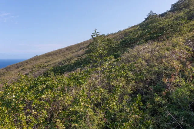 $119,000 | 188 Guava Road, Captain Cook, HI 96704