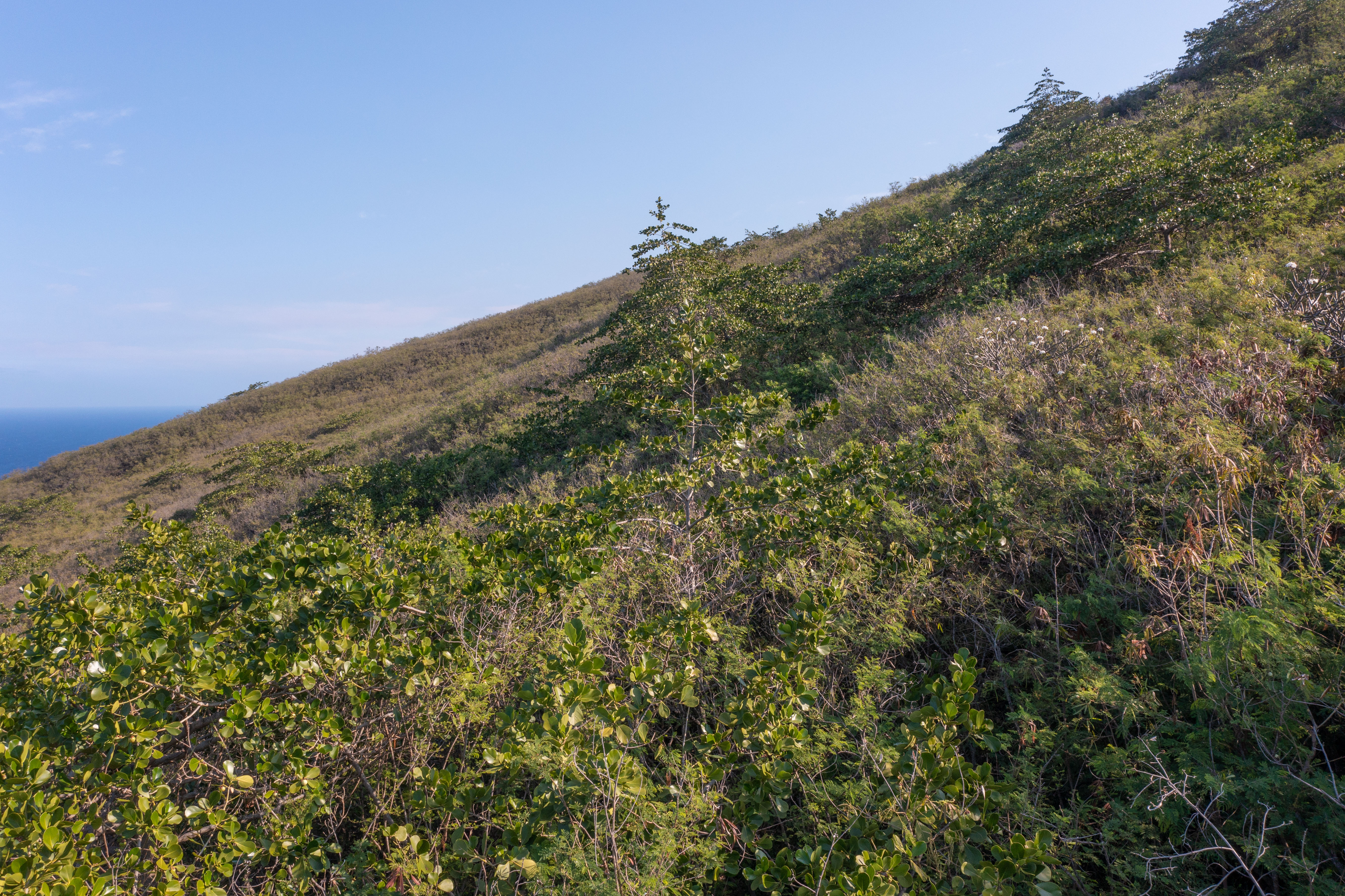 188 Guava Road Captain Cook, HI 96704 - Photo 21 of 28