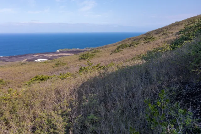 $119,000 | 188 Guava Road, Captain Cook, HI 96704