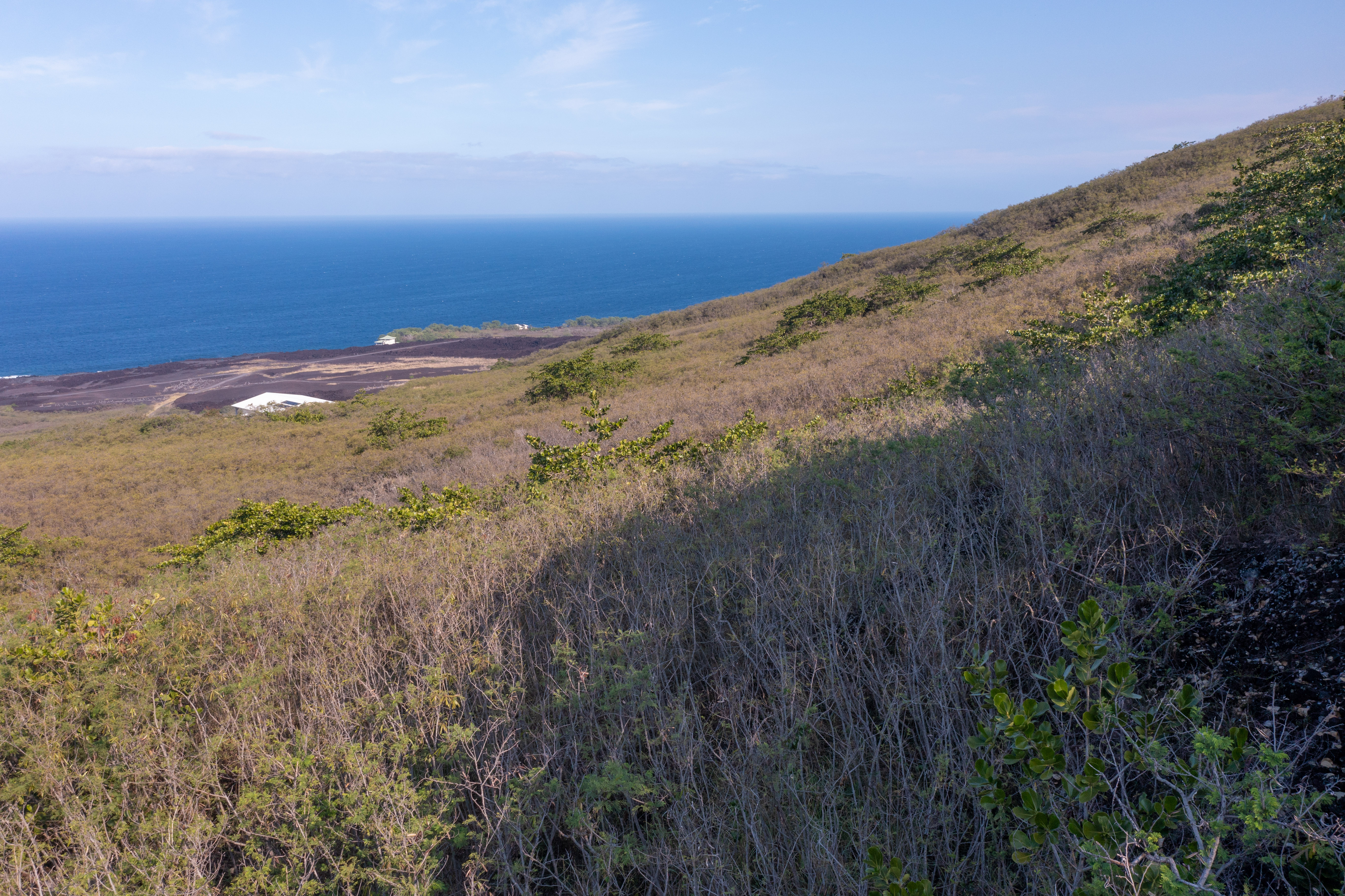 188 Guava Road Captain Cook, HI 96704 - Photo 4 of 28