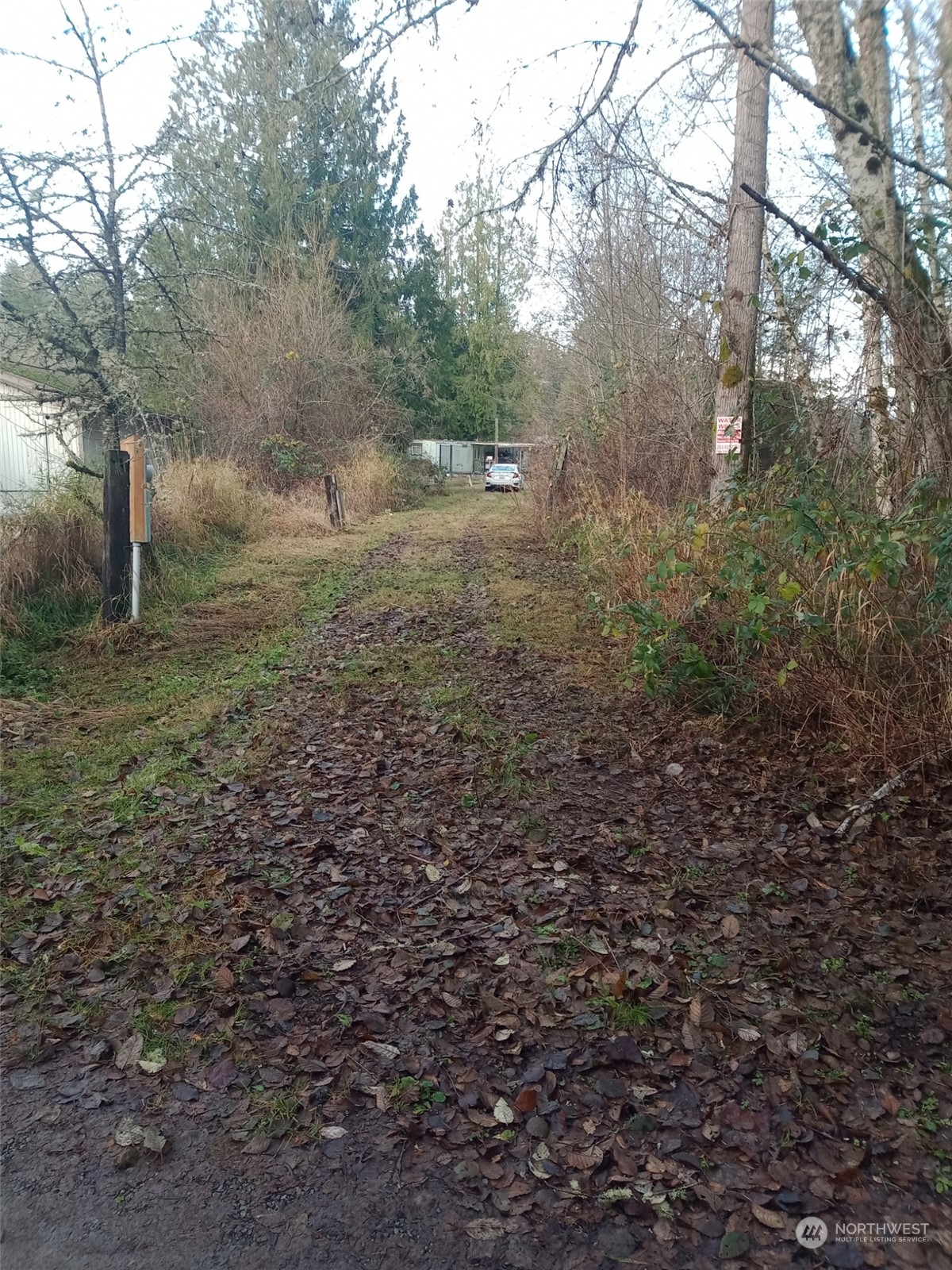 11903 State Game Road Eatonville, WA 98328 - Photo 12 of 24 a view of a forest with trees in the background