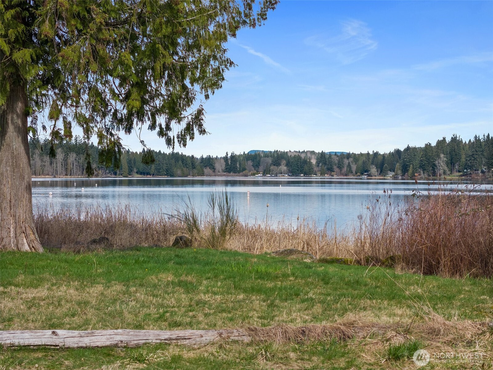 11903 State Game Road Eatonville, WA 98328 - Photo 23 of 24 a backyard of a house with lots of green space