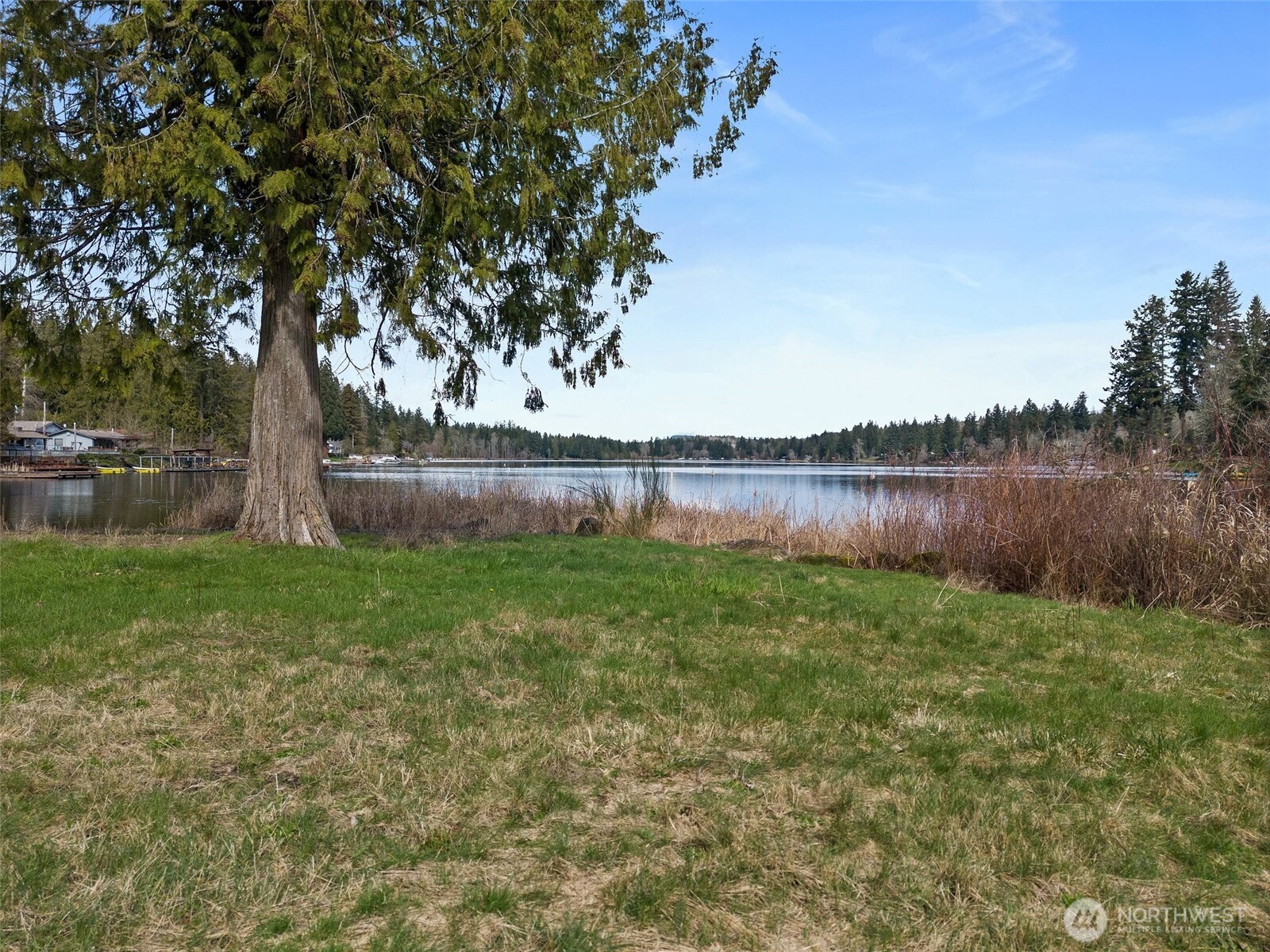 11903 State Game Road Eatonville, WA 98328 - Photo 24 of 24 a view of a yard with a tree