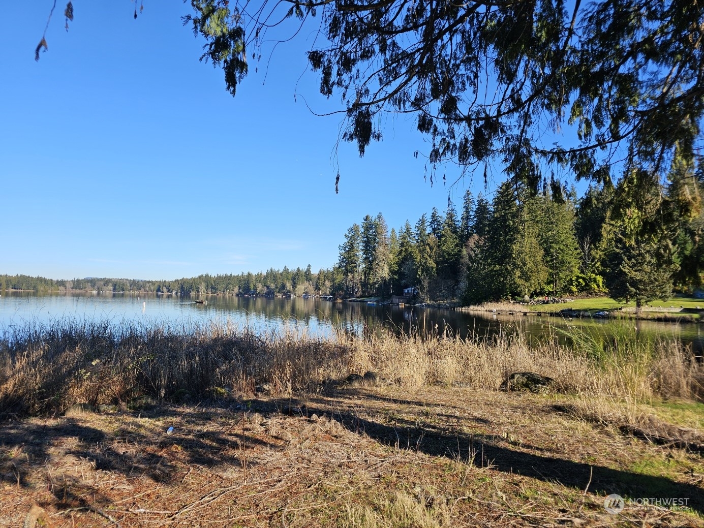 11903 State Game Road Eatonville, WA 98328 - Photo 5 of 24 a view of a lake in between two trees