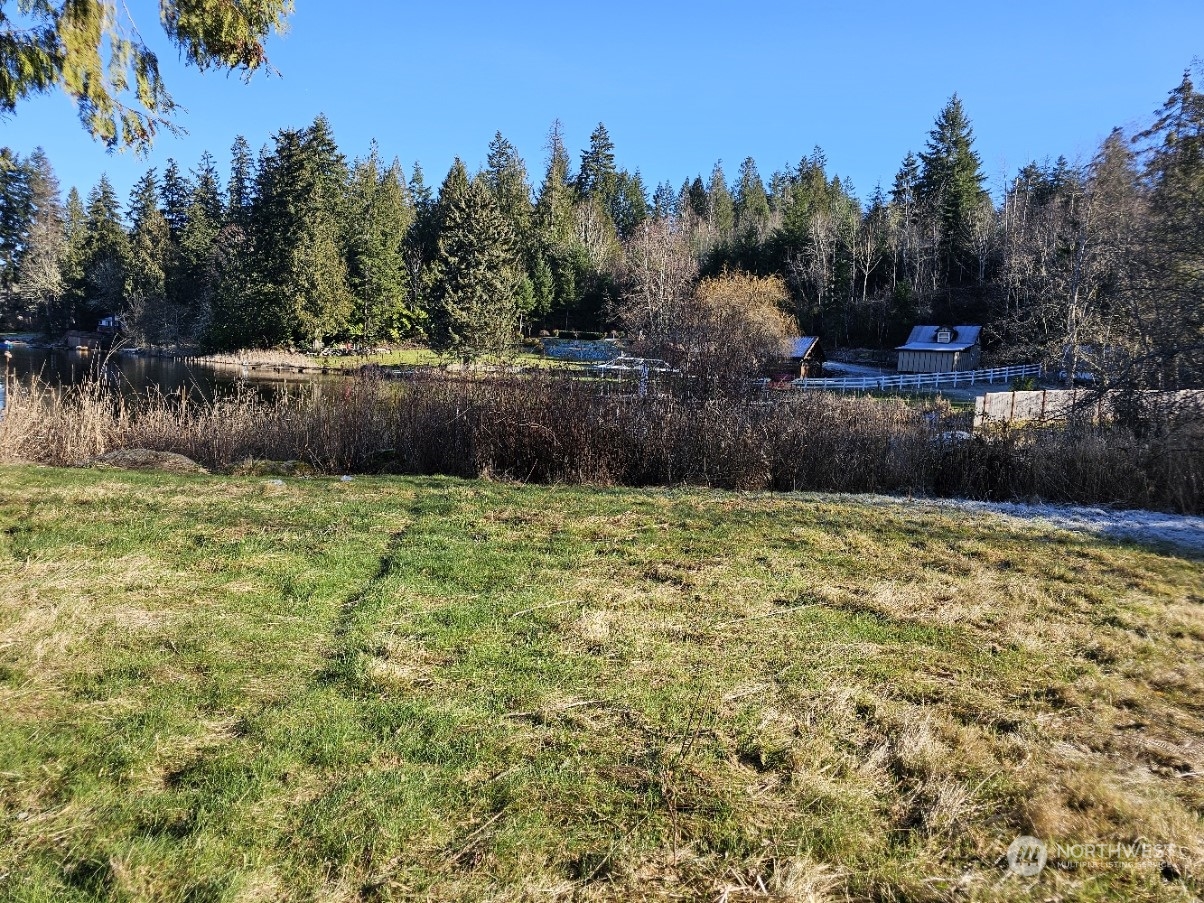 11903 State Game Road Eatonville, WA 98328 - Photo 7 of 24 a view of a backyard