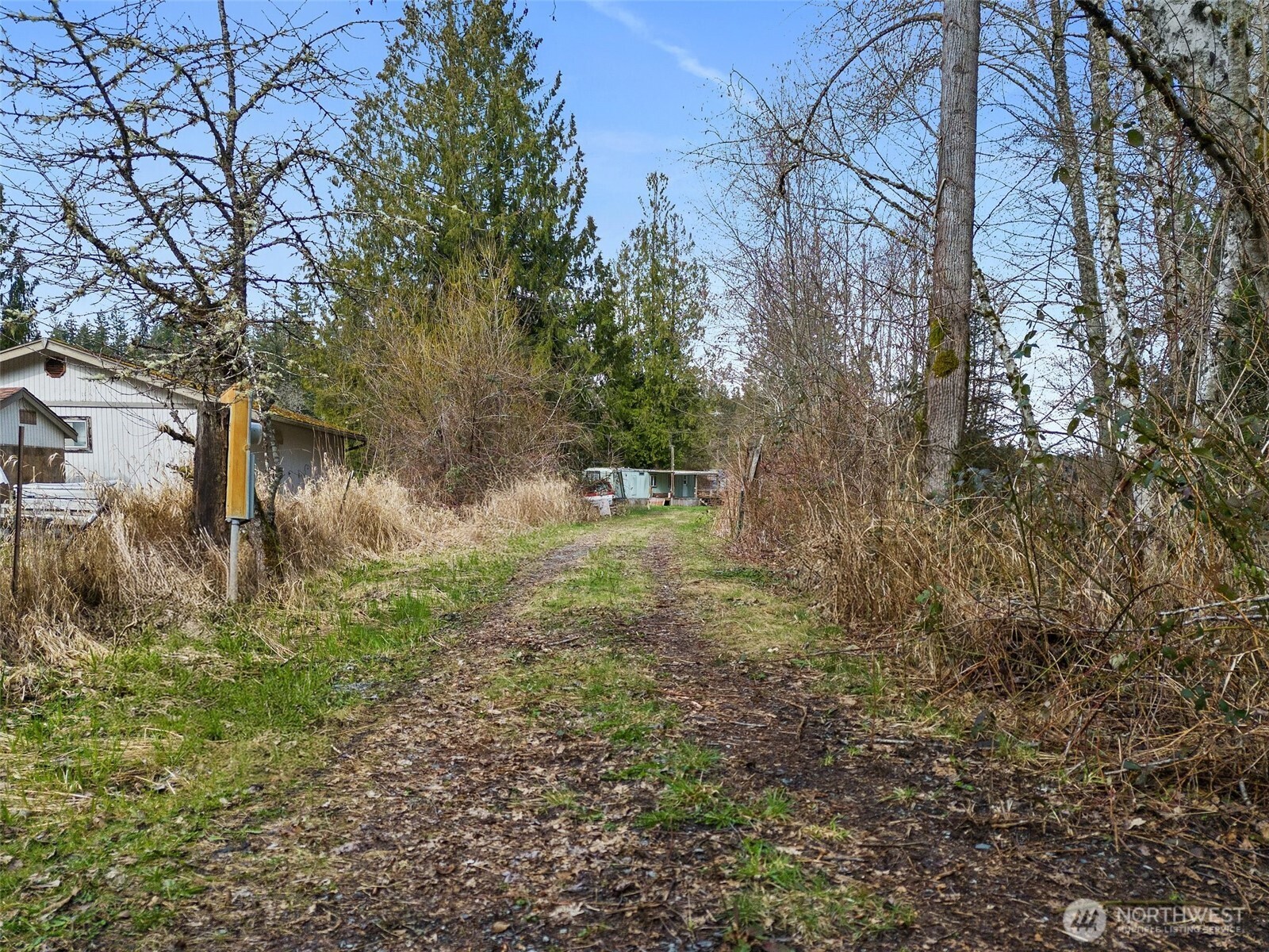 11903 State Game Road Eatonville, WA 98328 - Photo 8 of 24 a view of outdoor space and a yard