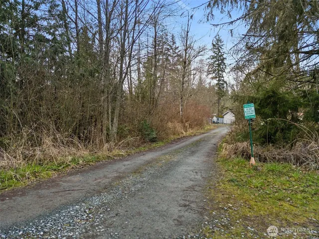 a view of a yard with large trees