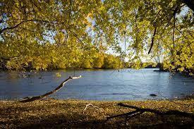 14916 Riverview Lane North Dayton, MN 55327 - Photo 41 of 49