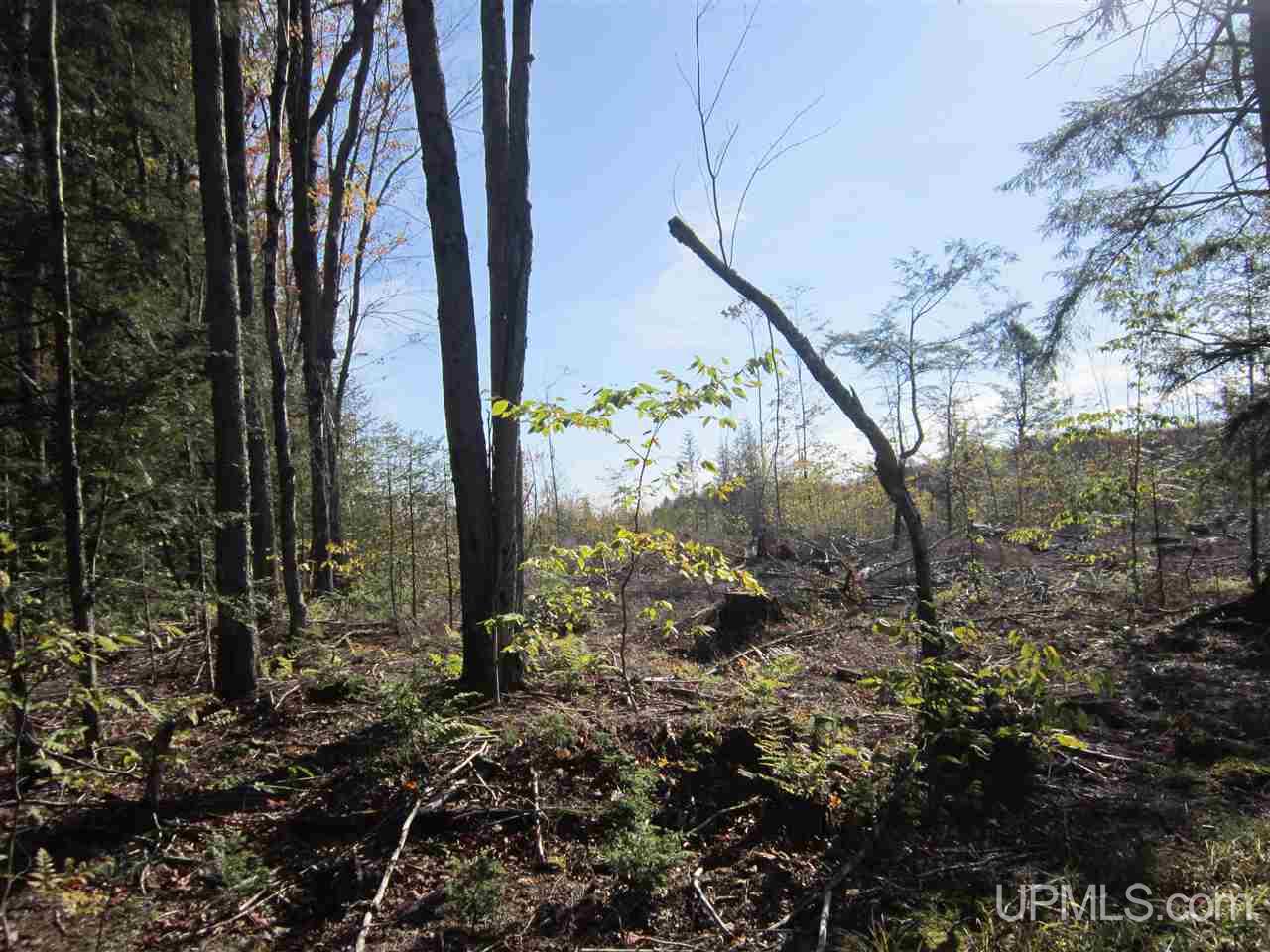 N2003 Sturgeon River Road Munising, MI 49862 - Photo 24 of 36