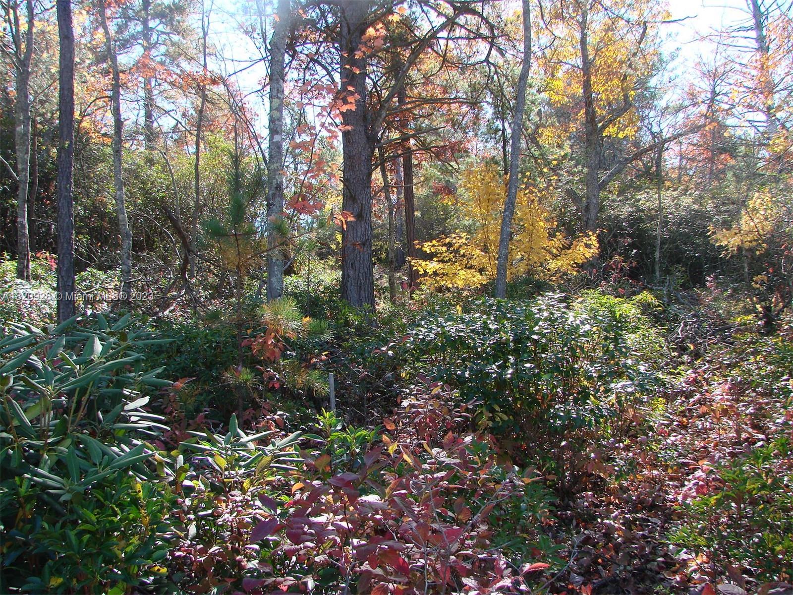 25 Fates Overlook Loop, Unit 103 Black Mountain, NC 28711 - Photo 13 of 21 a backyard of a house with lots of green space