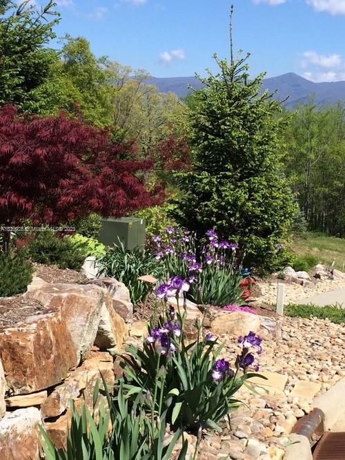 25 Fates Overlook Loop, Unit 103 Black Mountain, NC 28711 - Photo 14 of 21 a picture of flowers