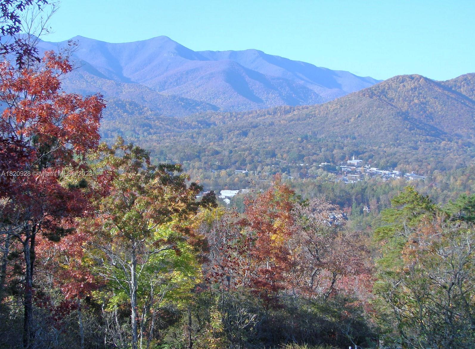 25 Fates Overlook Loop, Unit 103 Black Mountain, NC 28711 - Photo 19 of 21 a view of a large tree