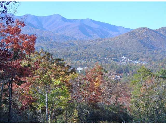 25 Fates Overlook Loop, Unit 103 Black Mountain, NC 28711 - Photo 2 of 21 a view of a dry yard