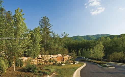 25 Fates Overlook Loop, Unit 103 Black Mountain, NC 28711 - Photo 3 of 21 a view of a swimming pool with a yard