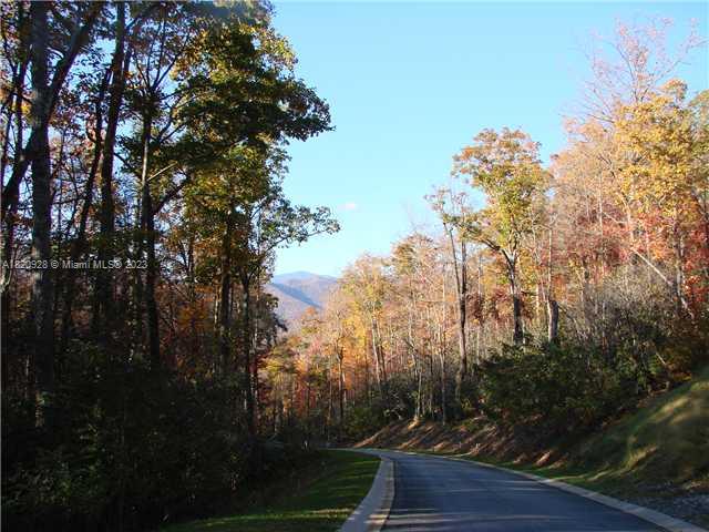 25 Fates Overlook Loop, Unit 103 Black Mountain, NC 28711 - Photo 5 of 21 a view of outdoor space and yard