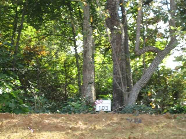 25 Fates Overlook Loop, Unit 103 Black Mountain, NC 28711 - Photo 6 of 21 a view of outdoor space and trees