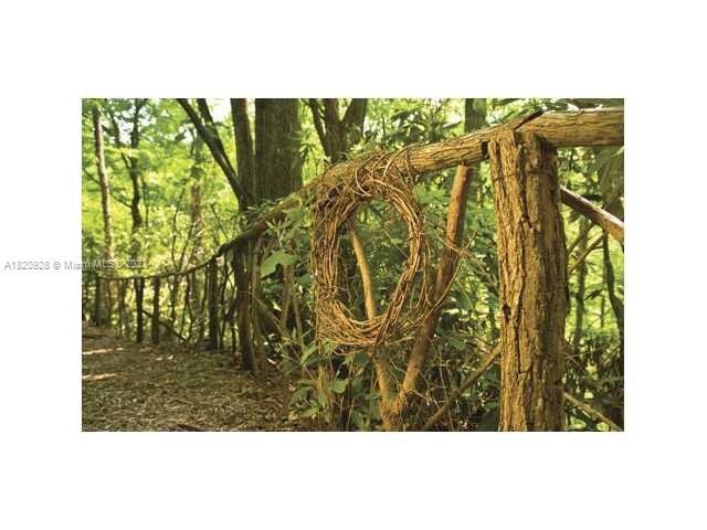 25 Fates Overlook Loop, Unit 103 Black Mountain, NC 28711 - Photo 9 of 21 a view of an outdoor space and a swimming pool