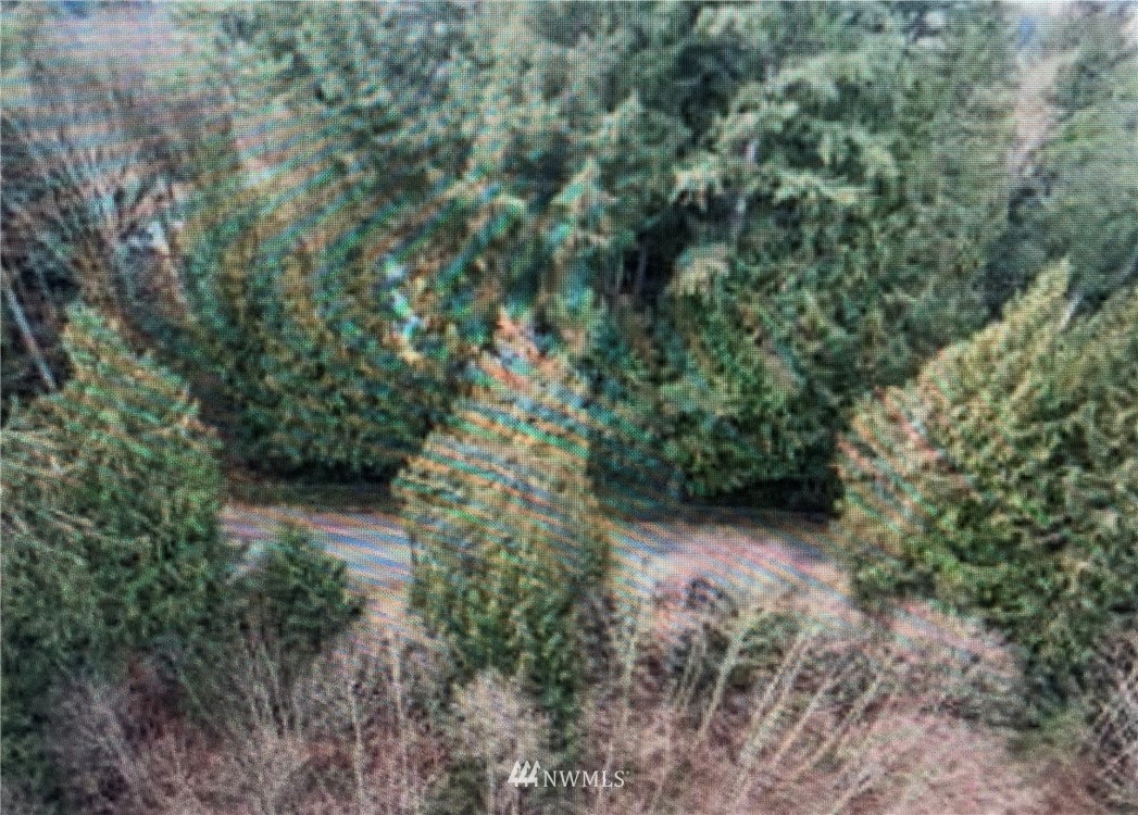 -43xx Tom Marks Road Snohomish, WA 98290 - Photo 3 of 7 Gallery Image 3