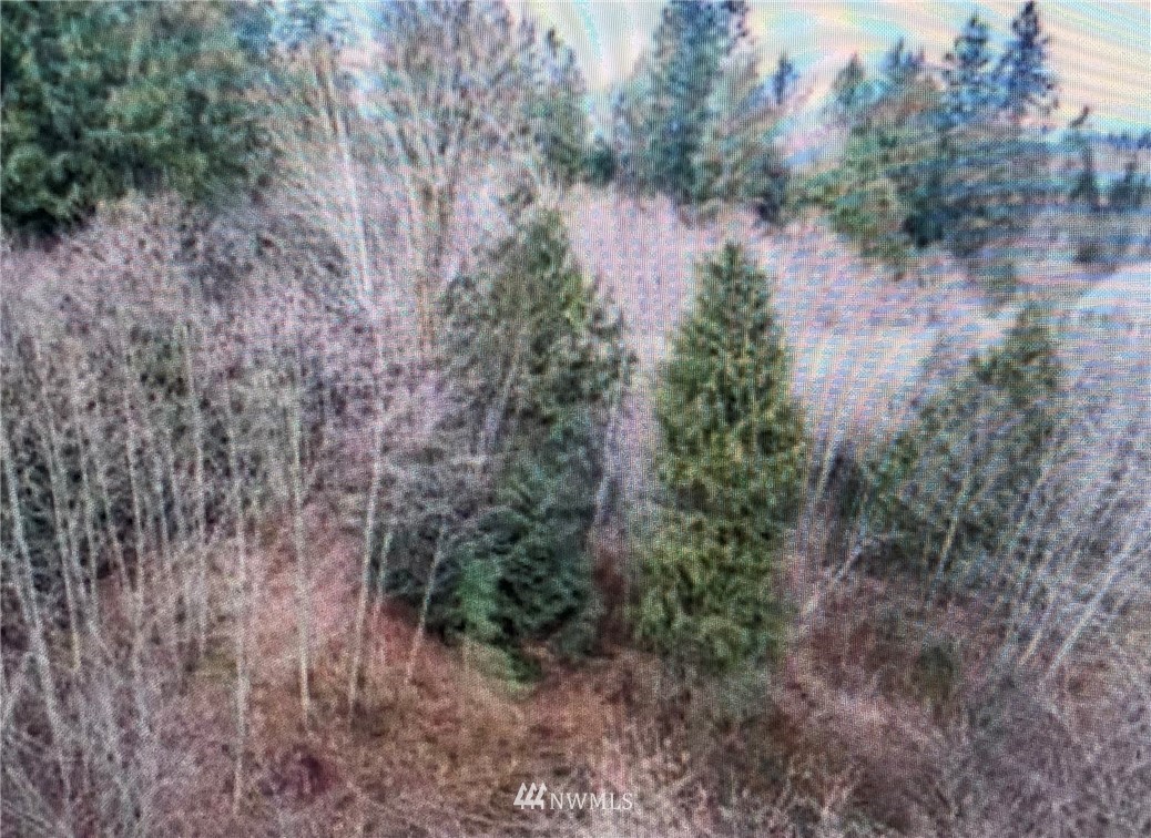 -43xx Tom Marks Road Snohomish, WA 98290 - Photo 4 of 7 Gallery Image 4
