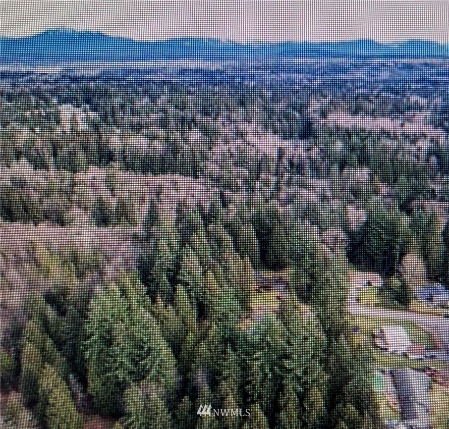 -43xx Tom Marks Road Snohomish, WA 98290 - Photo 6 of 7 Gallery Image 6