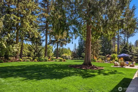 a garden view with outdoor space