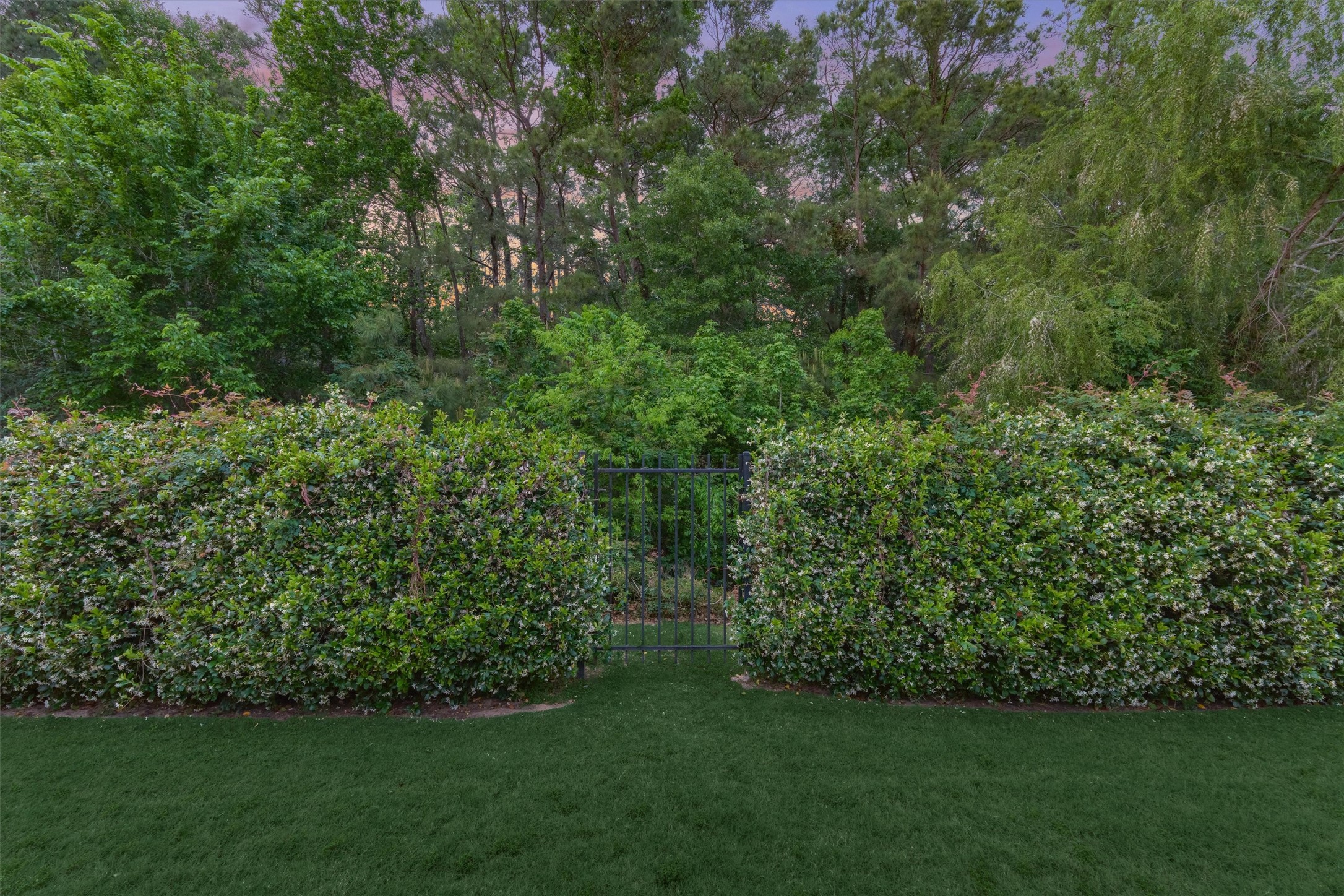 2227 Blue Duck Lane Conroe, TX 77384 - Photo 46 of 50 a view of a yard with a tree