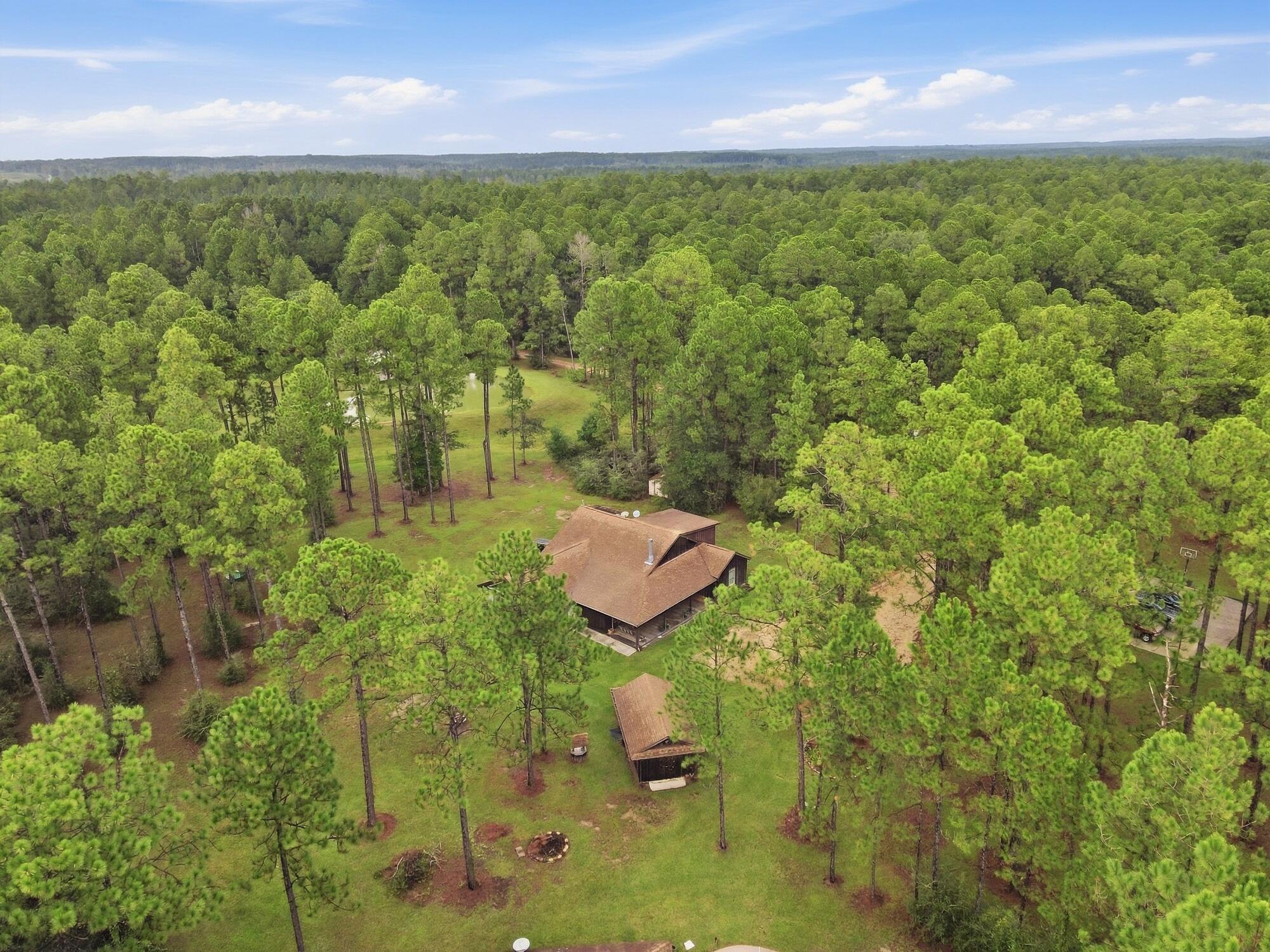 463 Jess Williams Road Poplarville, MS 39470 - Photo 52 of 59 Gallery Image 52