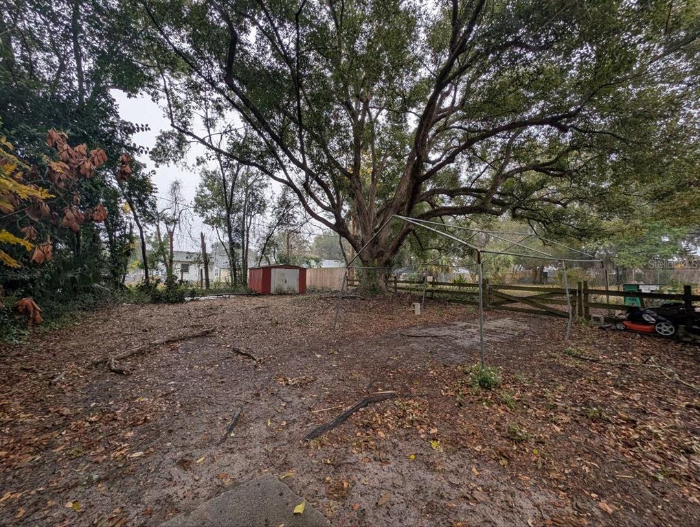 2304 Vine Street Leesburg, FL 34748 - Photo 23 of 25 a view of outdoor space with trees