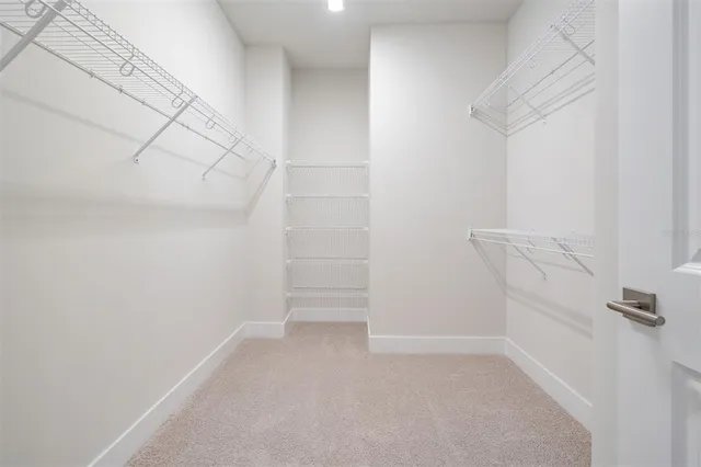 $3,550 | 6605 North Nebraska Avenue, Unit 6, Tampa, FL 33604