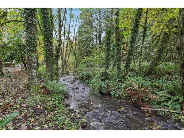a view of a yard with plants and a bench
