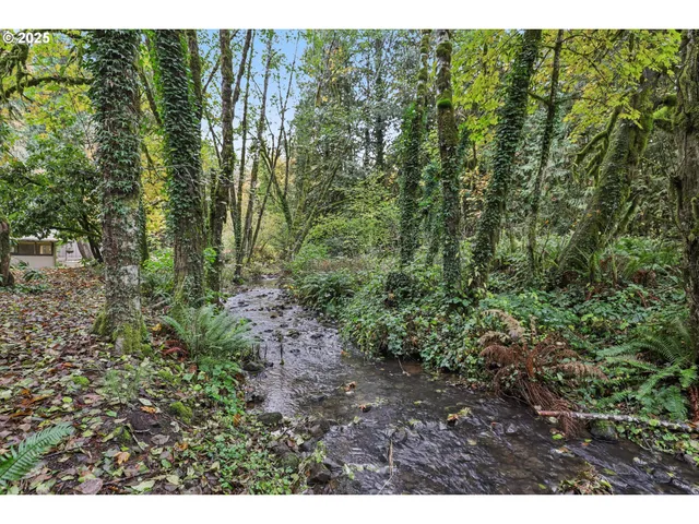 a view of a yard with plants and a bench