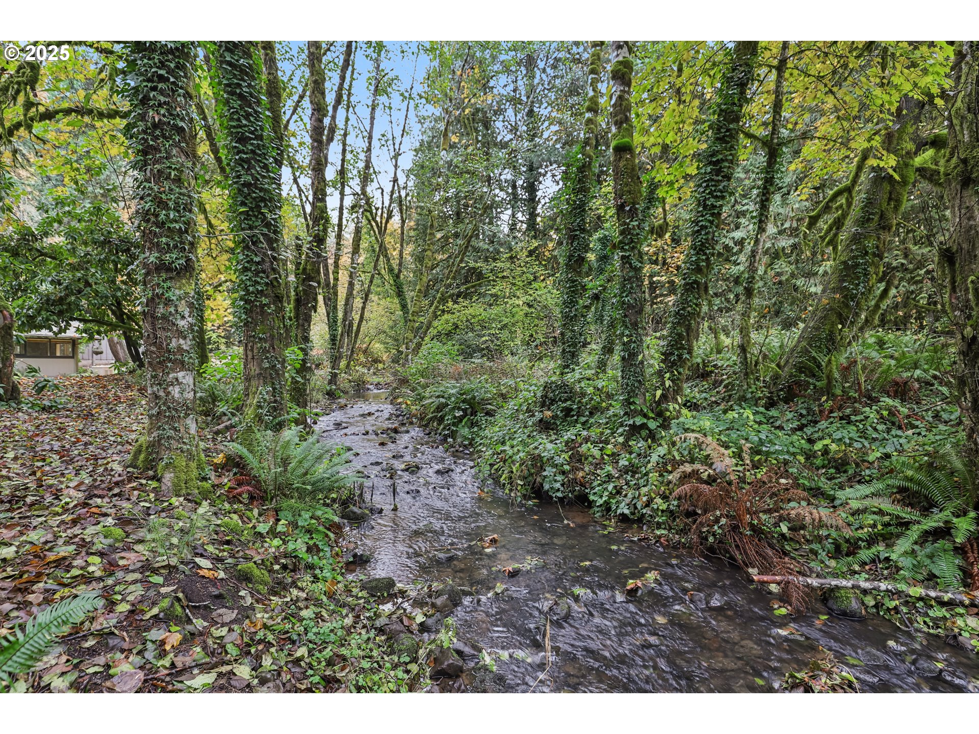 39777 Northwest Murtaugh Road North Plains, OR 97133 - Photo 36 of 45 a view of a yard with plants and a bench