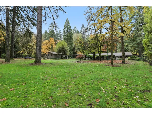 a view of park space