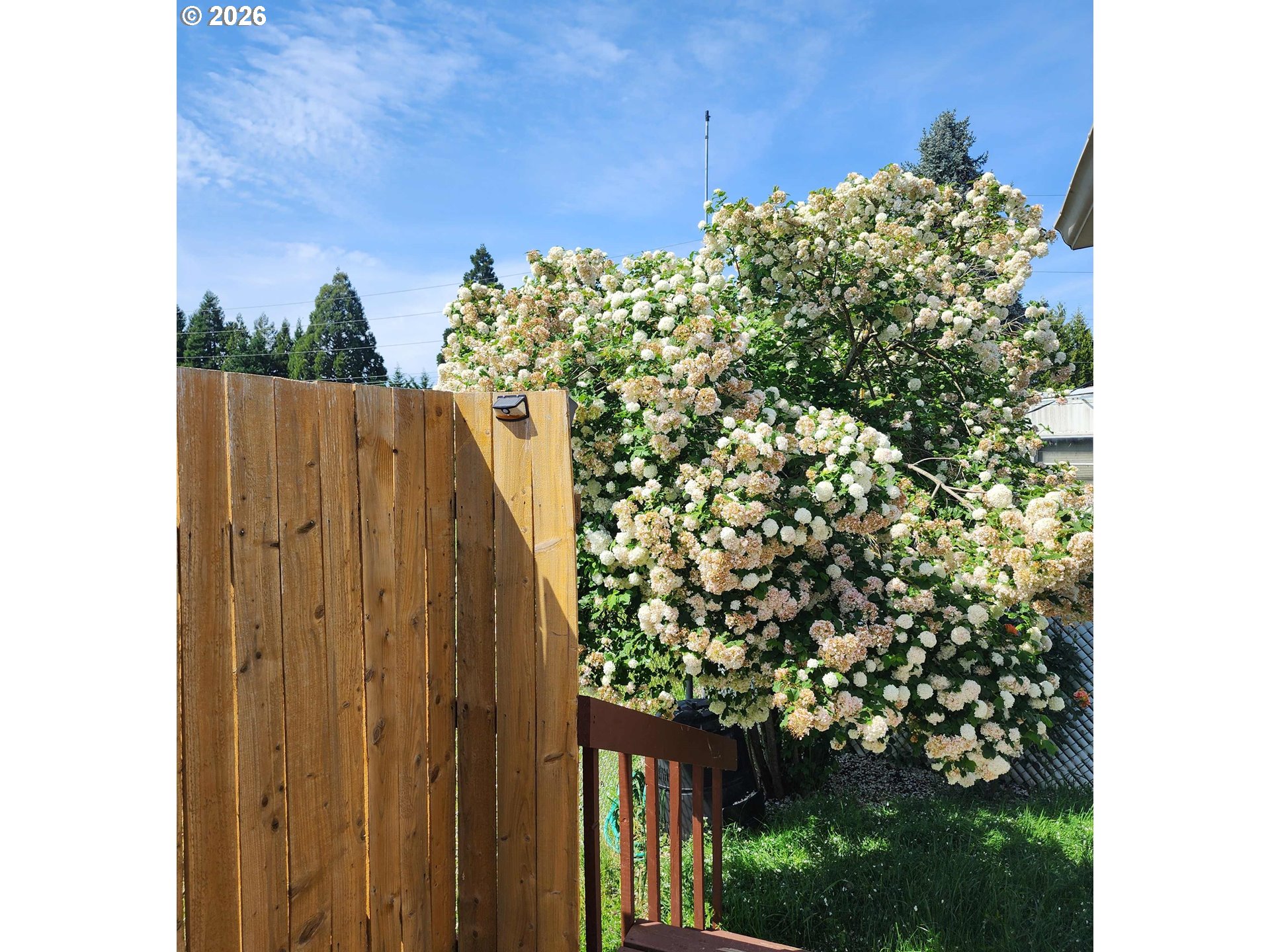 5355 River Road North, Unit 60 Keizer, OR 97303 - Photo 37 of 37 a view of a garden with plants
