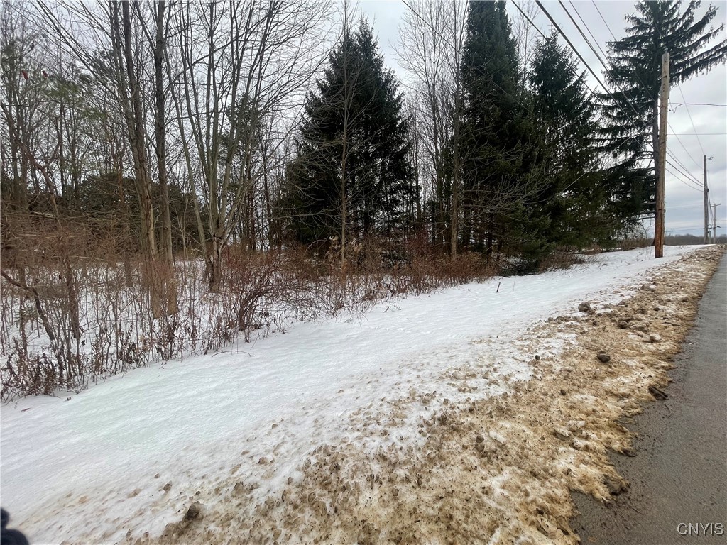 0 Emery Road Fulton, NY 13069 - Photo 2 of 5