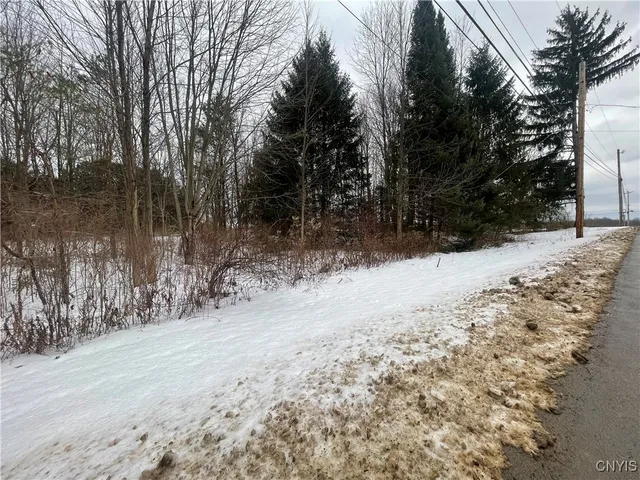 $9,999 | 0 Emery Road, Fulton, NY 13069