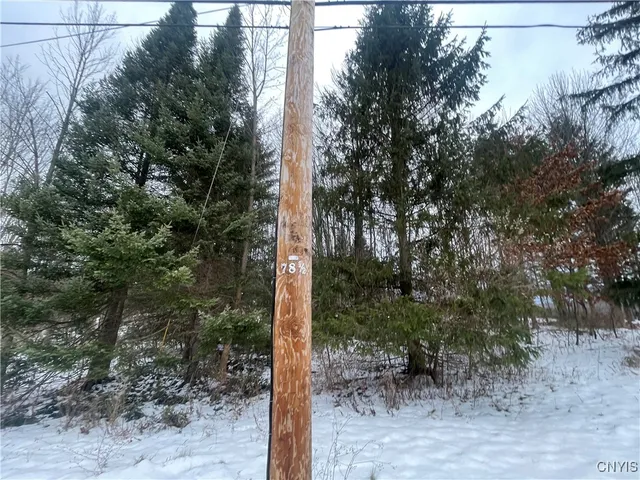 $9,999 | 0 Emery Road, Fulton, NY 13069