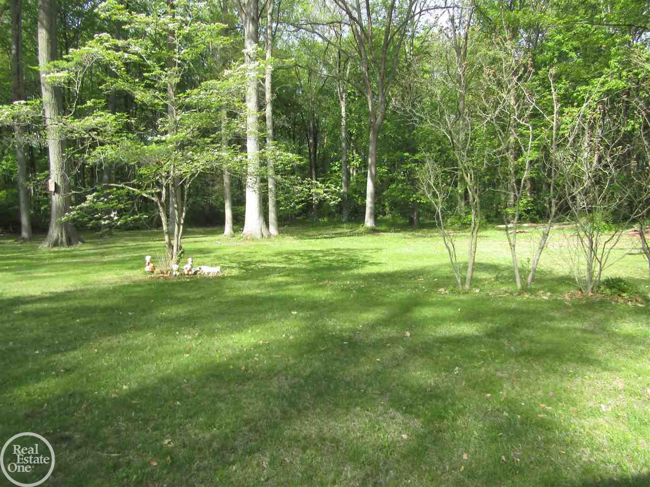 50551 Sass Road Chesterfield, MI 48047 - Photo 8 of 16