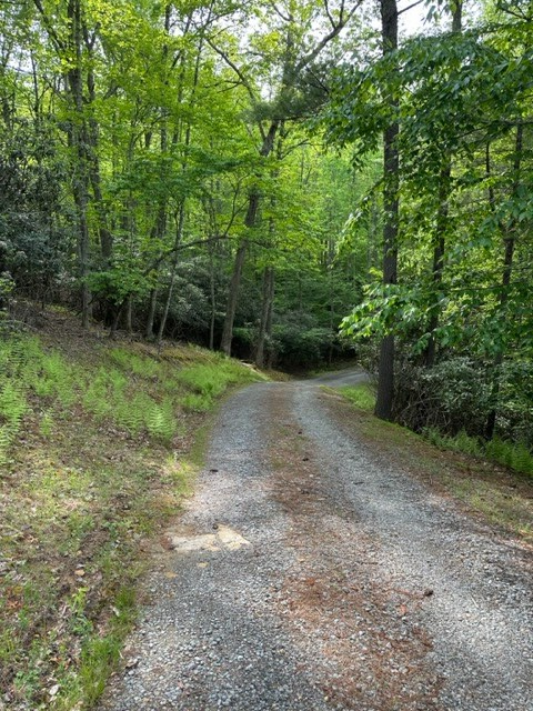 225 Ridge Line Trail Independence, VA 24348 - Photo 42 of 45 Gallery Image 42