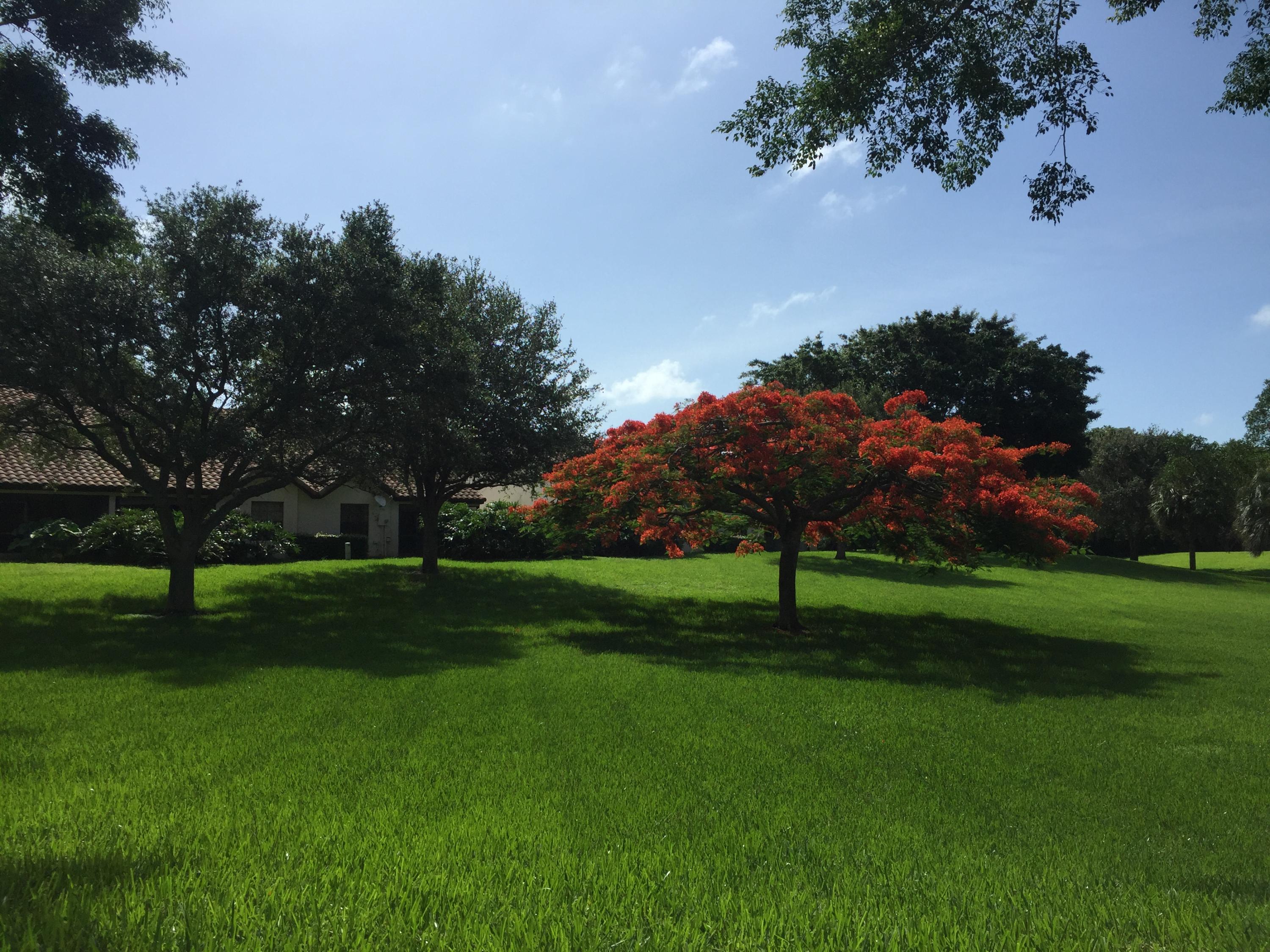 429 Cottonwood Place Boca Raton, FL 33431 - Photo 39 of 48 IMG_1266