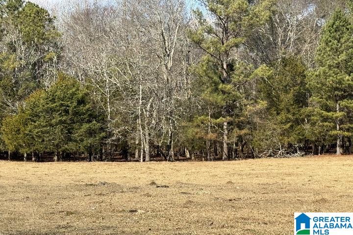 1036 Rushing Springs Road Lincoln, AL 35096 - Photo 28 of 58