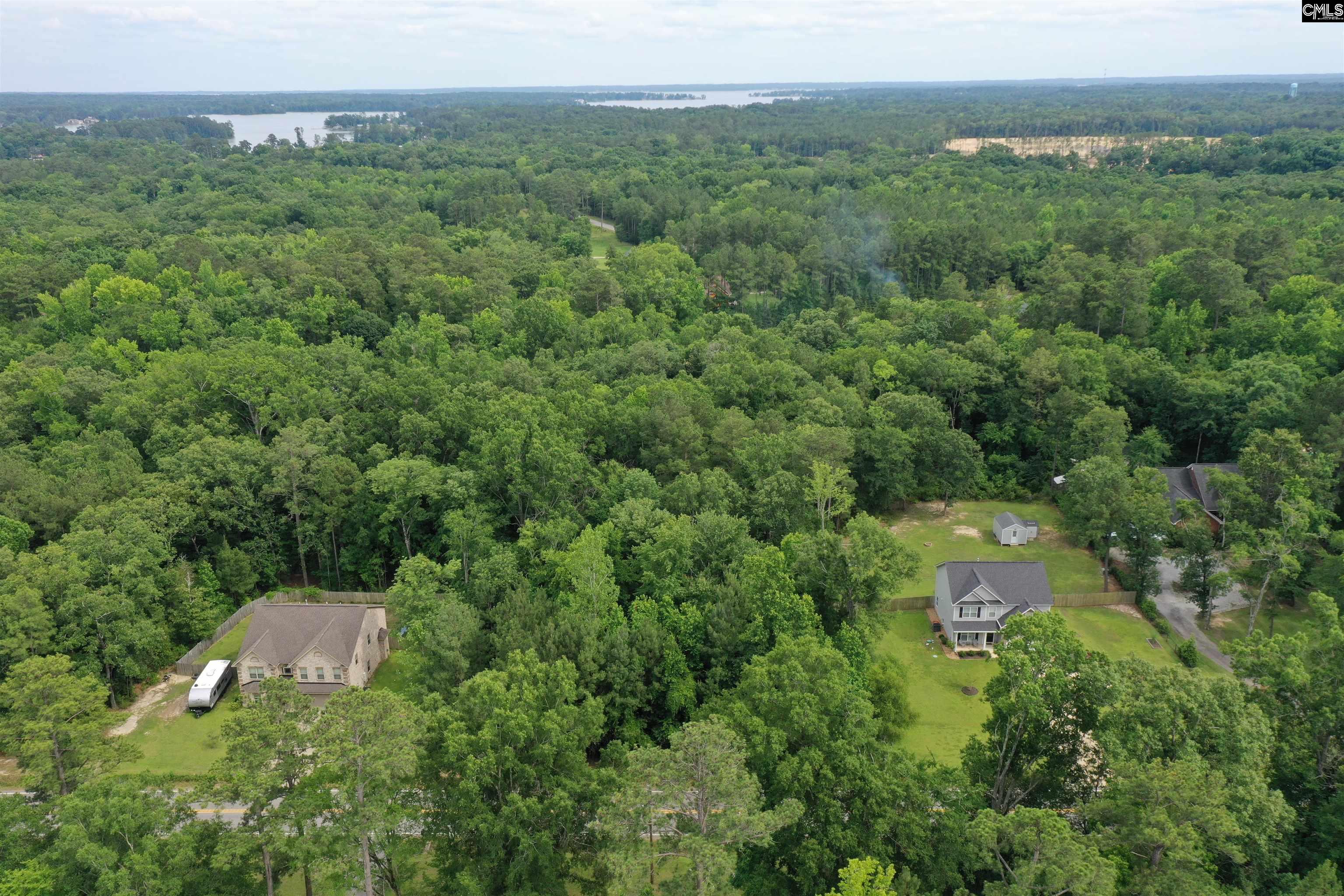 743 Amicks Ferry Road Chapin, SC 29036 - Photo 5 of 11