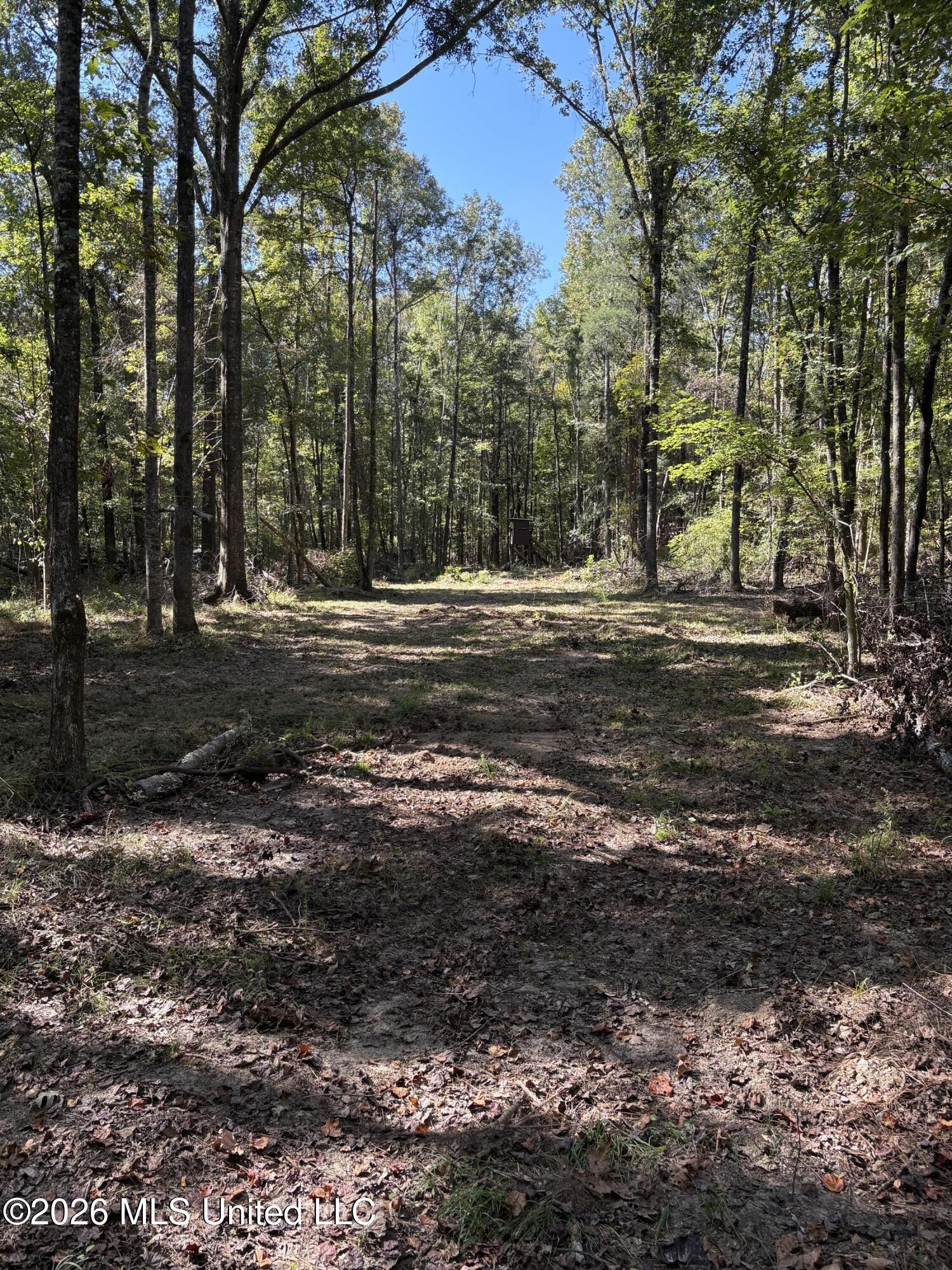 229 Barnes Road Florence, MS 39073 - Photo 25 of 30 IMG_0577