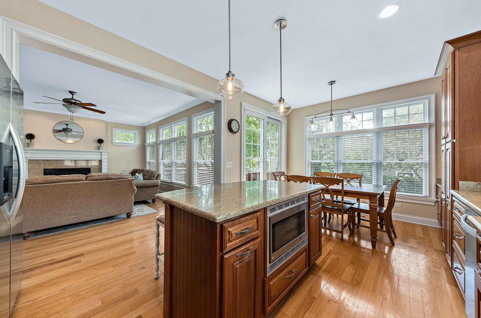 1231 North Webster Street Naperville, IL 60563 - Photo 2 of 36