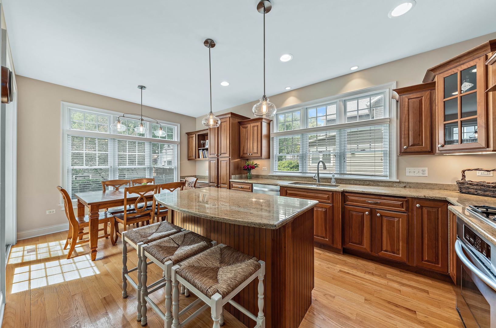 1231 North Webster Street Naperville, IL 60563 - Photo 3 of 36