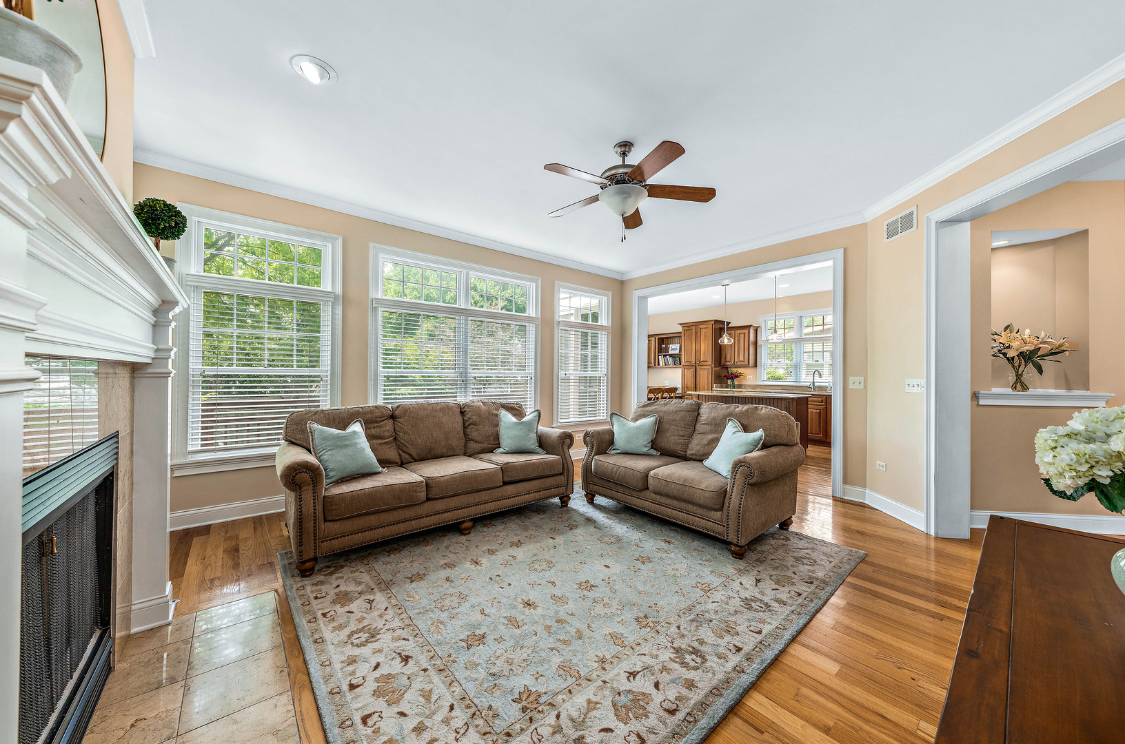 1231 North Webster Street Naperville, IL 60563 - Photo 6 of 36