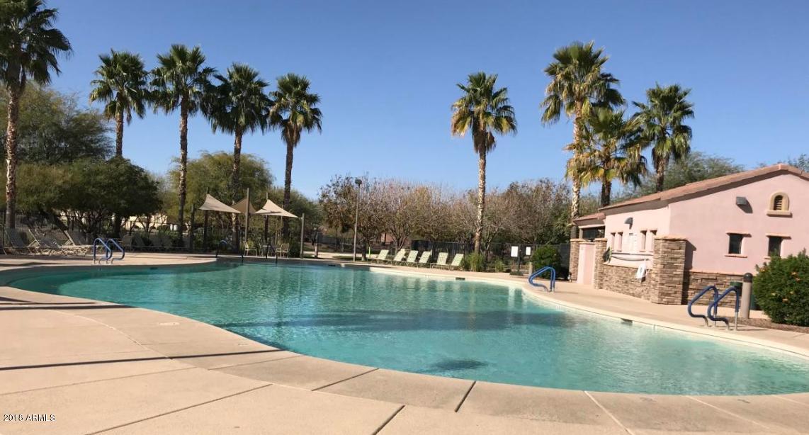 17721 West Red Bird Road Surprise, AZ 85387 - Photo 29 of 29 Desert_Oasis_Pool