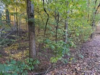 $8,000 | 11323 Mingo Drive, Hernando, MS 38632