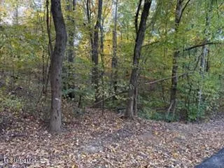 $8,000 | 11323 Mingo Drive, Hernando, MS 38632