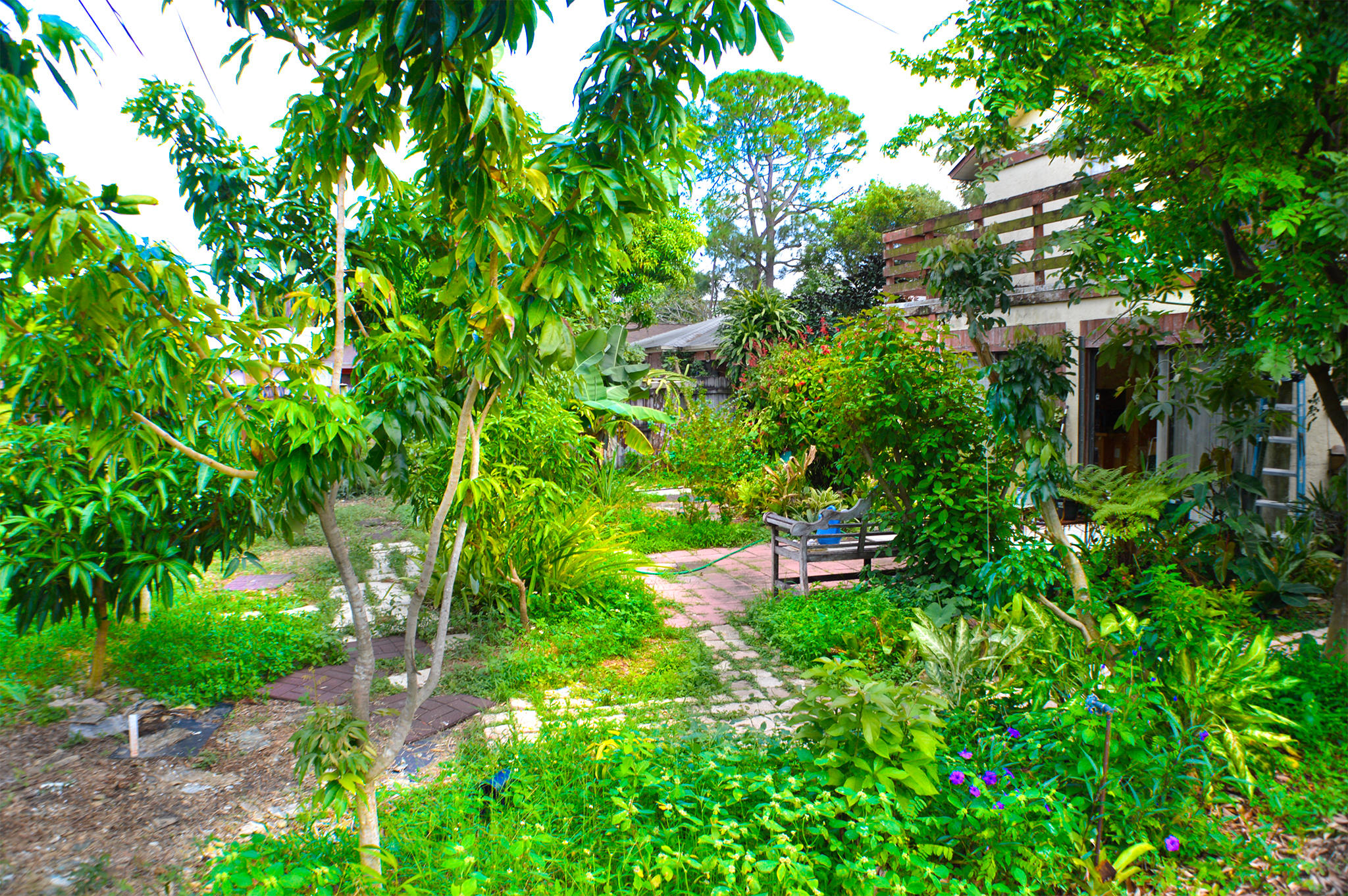 5273 Adams Road Delray Beach, FL 33484 - Photo 26 of 28 a view of a garden with a plants